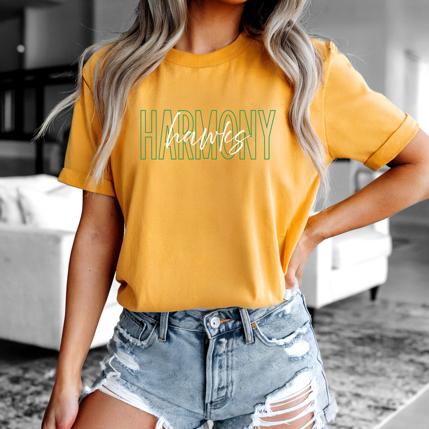 Harmony Hawks Stacked Script Tee