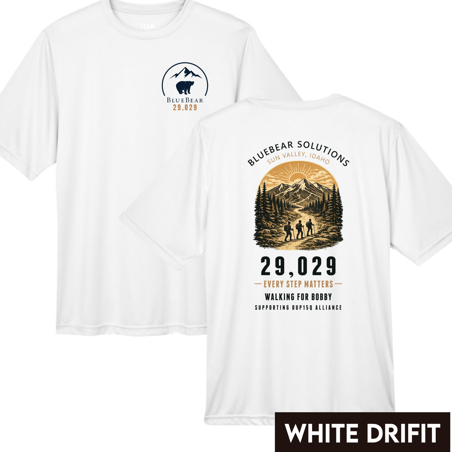 29,029 Feet for Bobby - Design 3 - Walking Together for Bobby Mountain Hikers Tee Sun Valley Idaho