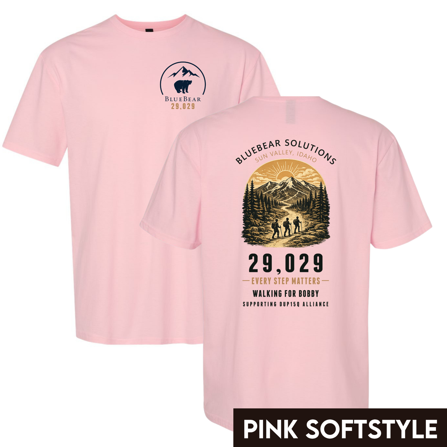 29,029 Feet for Bobby - Design 3 - Walking Together for Bobby Mountain Hikers Tee Sun Valley Idaho